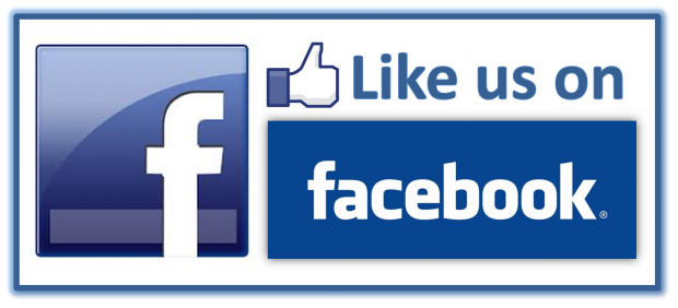 Facebook Audience